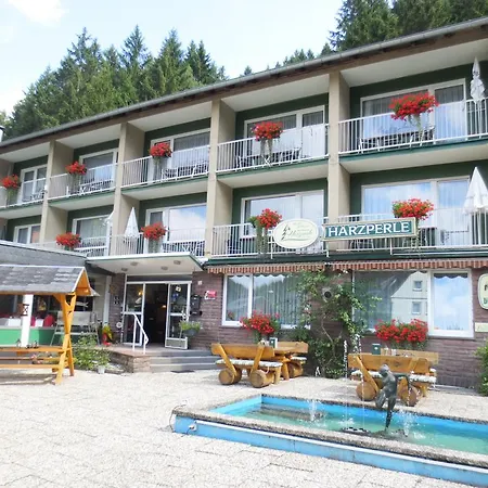 Harzperle Guest house Wildemann