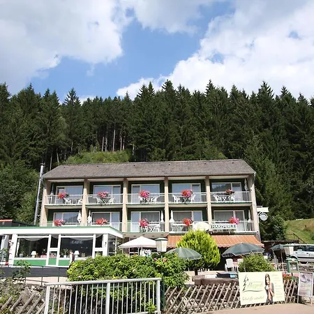 Guest house Harzperle Wildemann