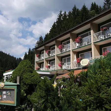 Harzperle